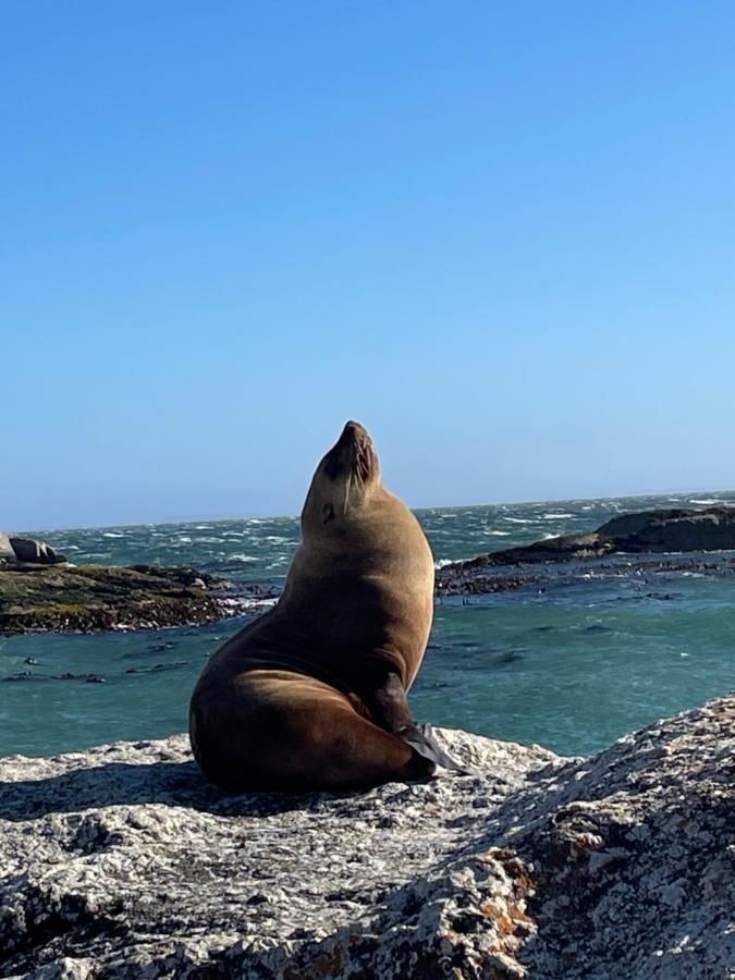 Whale Rock Apartman Fokváros Kültér fotó