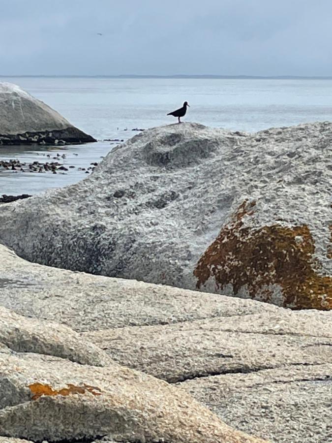 Whale Rock Apartman Fokváros Kültér fotó