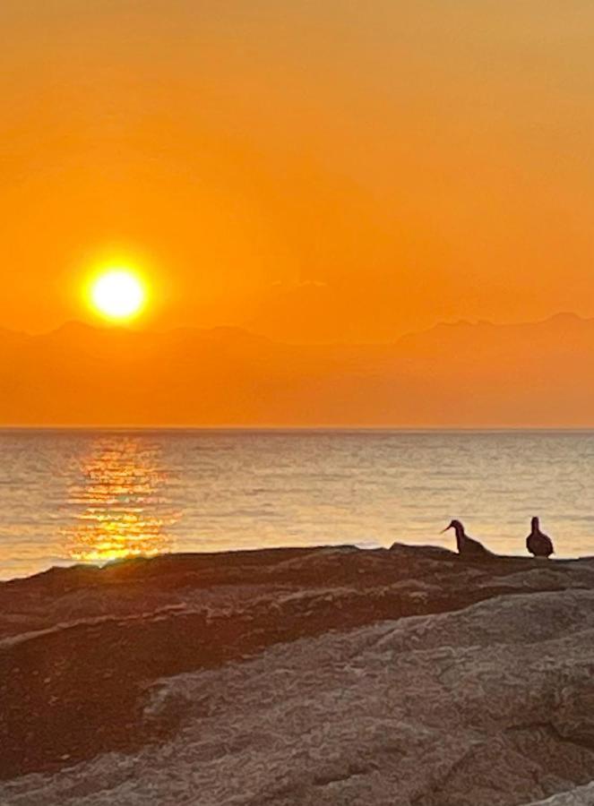 Whale Rock Apartman Fokváros Kültér fotó